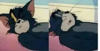 🚩 Tom Cat Tom and Jerry kat, cartoon, slapen, tom en jerry whatsapp sticker
