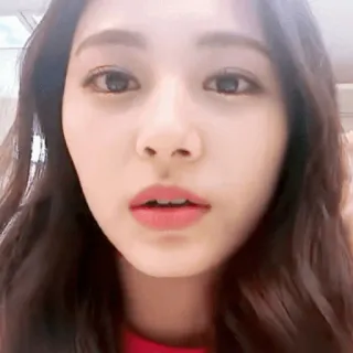 😮 Tzuyu kpop, singer, twice, tzuyu, idol, asian, woman telegram sticker