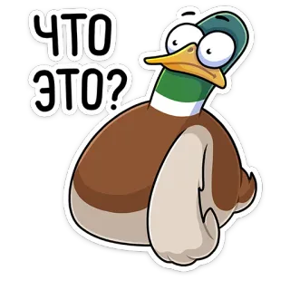 😮 ЧТО ЭТО? pato, pergunta, desenho animado, adesivo, pássaro, russo telegram sticker