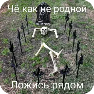 🖼 Чё как не родной
Ложись рядом telegram sticker