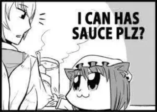 😼 I CAN HAS SAUCE PLZ? anime, meme, gato, salsa, rogando whatsapp sticker