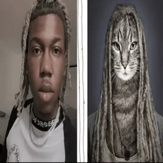 😶 Destroy Lonely Destroy Lonely, rapper, cat, dreadlocks, meme, comparison, lookalike, music telegram sticker