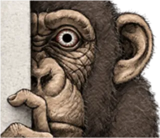 🐵 monyet, kera besar, binatang, ilustrasi, gambar, primata telegram sticker