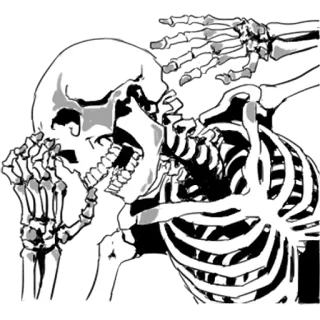 😜 squelette, horreur, mort, effrayant, os, crâne, anatomie telegram sticker