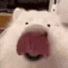👅