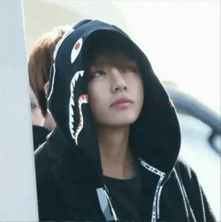🍍 kpop, bts, idol, fashion, streetwear, hoodie, bape telegram sticker