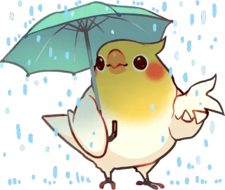 ☔️ 鳥, オカメインコ, かわいい, 傘, 雨, 天気 telegram sticker
