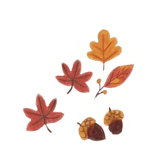 🍂 가을, 잎, 도토리, 가을, 자연, 계절 telegram sticker