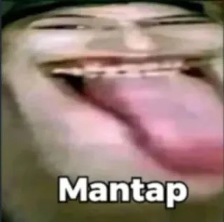 🙊 Mantap whatsapp sticker