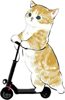 🛴 cat, scooter, animal, cute, illustration, pet, kitty, ride telegram sticker