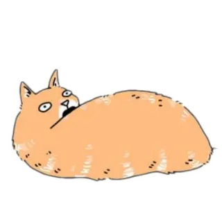 🤷‍♂ gato, animal, engraçado, desenho animado, laranja, animal de estimação telegram sticker