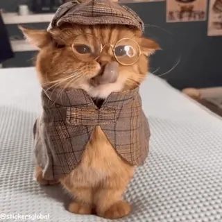 🤓 Sherlock Holmes whatsapp sticker