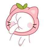 🤦‍♂ kucing, kawaii, binatang, persik, lucu, stiker whatsapp sticker
