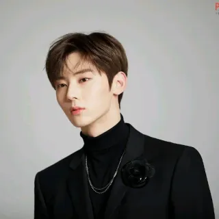 😎 hombre, traje, retrato, coreano, actor, cantante telegram sticker