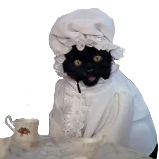 👵 кот, чай, шапка, милый, животное, мем telegram sticker