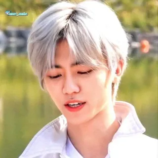 🧺 whatsapp sticker