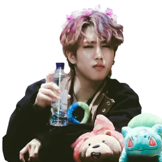 😳 Han Jisung, K-Pop, Stray Kids, Idol, Cantante, Pokémon, Bulbasaur, Peluche whatsapp sticker