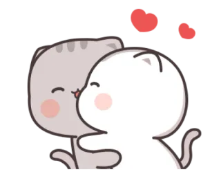 😻 gatos, lindo, amor, cariño, beso, animales telegram sticker