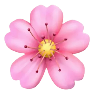 🌸 Blume, Kirschblüte, Rosa, Natur, Blumen telegram sticker
