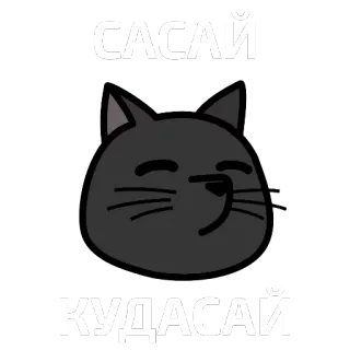 🐱 САСАЙ
КУДАСАЙ gato, ofensivo, russo, meme, sarcástico telegram sticker