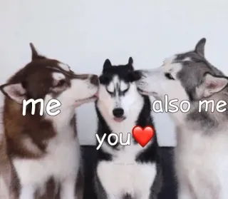😘 me, you, also me telegram sticker