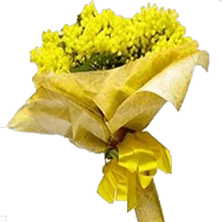 🌼 Blumen, gelb, Strauß, Geschenk, Blumenmuster, verpackt whatsapp sticker