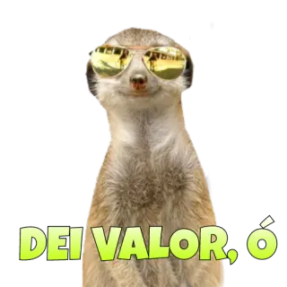 ✌ DEI VALOR, Ó suricata, óculos de sol, animal, Dei Valor telegram sticker