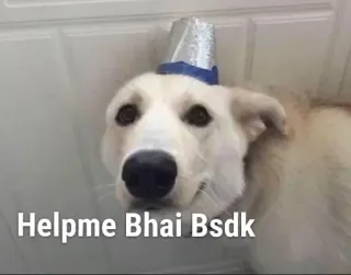 😏 Helpme Bhai Bsdk dog, meme, funny, animal, party telegram sticker