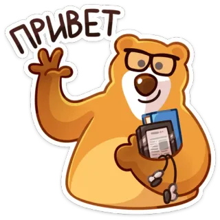 👋 ПРИВЕТ หมี, ทักทาย, รัสเซีย, แว่นตา, หนังสือ, เป็นมิตร telegram sticker