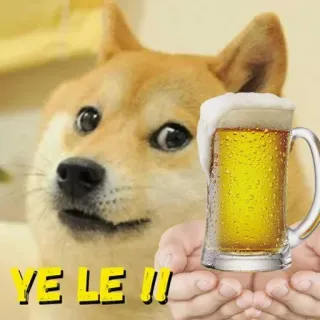 🍺 YE LE !!! doge, perro, cerveza, meme, animal, divertido, meme de internet telegram sticker
