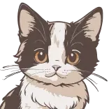 😺