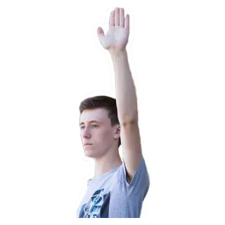 ✋ persona, gesto de mano, mano levantada, hombre, saludo telegram sticker