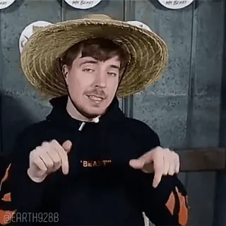 🥰 MrBeast BEAST MrBeast, YouTube, Influenceur, Chapeau de paille, Pointant whatsapp sticker