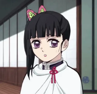 🌸 Kanao Tsuyuri Demon Slayer anime, demon slayer, kanao tsuyuri, character, girl, anime girl telegram sticker