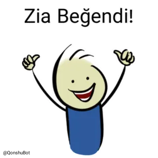 👍 Zia Beğendi! stick figure, thumbs up, cartoon, approval telegram sticker