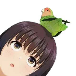 😍 Anime Mädchen, Niedlich, Vogel, Liebesvögel, Cartoon telegram sticker