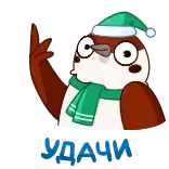 🍀 chim, ngón giữa, hoạt hình, thô lỗ, xúc phạm, cử chỉ telegram sticker