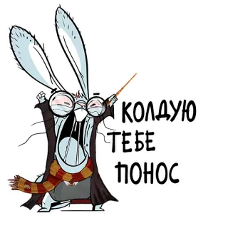 🤓 КОЛДУЮ ТЕБЕ - ПОНОС whatsapp sticker