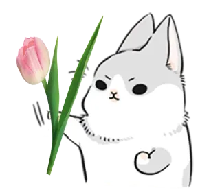 KCEHbKA 3 telegram stickers