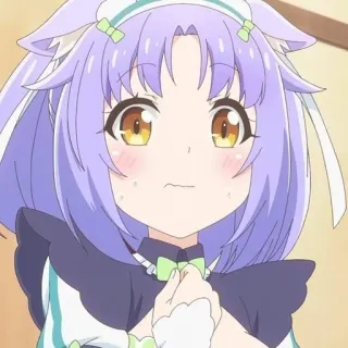 😯 Coconut Nekopara Anime, Catgirl, Neko, Carino, Kawaii, Coconut, Nekopara telegram sticker