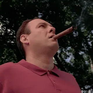 😵💫 Tony Soprano The Sopranos telegram sticker