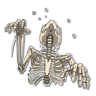 😖 scheletro, ossa, anatomia, halloween, spaventoso, morte telegram sticker