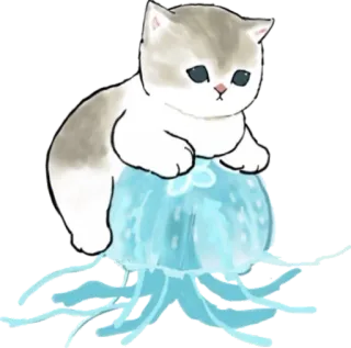 💧 gato, gatinho, água-viva, fofo, animal, desenho animado telegram sticker