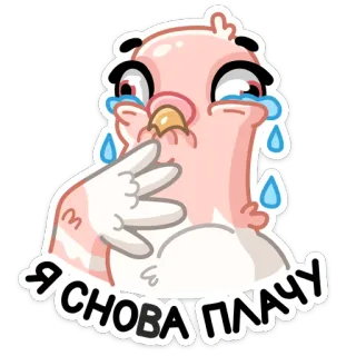 😢 Я СНОВА ПЛАЧУ burung, menangis, air mata, sedih, emosi telegram sticker