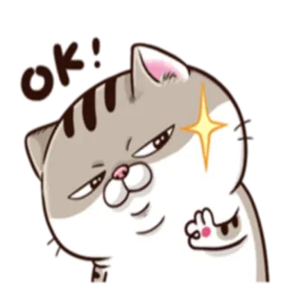 👌 ok! cat, sticker, ok, thumbs up, animal, cute telegram sticker