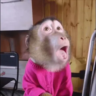 😄 macaco, animal, chocado, surpreso, suéter, fofo whatsapp sticker