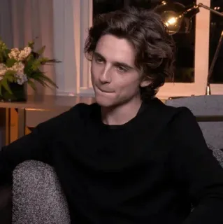 📯 Timothée Chalamet acteur, portrait, célébrité, homme, cheveux bouclés telegram sticker