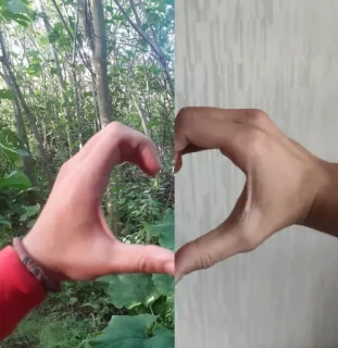 🤔 heart, hand, love, nature, gesture whatsapp sticker