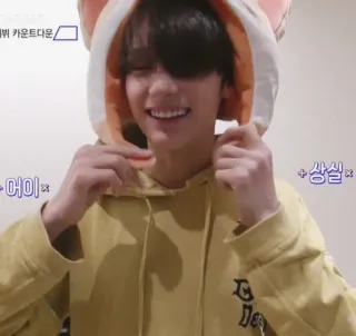 💚 카운트다운 whatsapp sticker