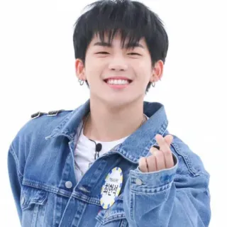 ❤️ 최석찬 coreano, sorridente, persona, ritratto, gesto del cuore, attore whatsapp sticker